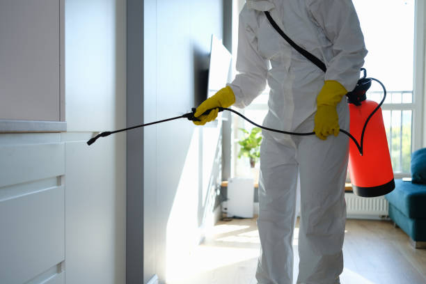 Best Commercial Mold Remediation in Upper Ack, NY