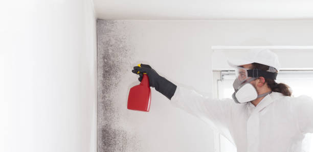Upper Nyack, NY Mold Remediation Company